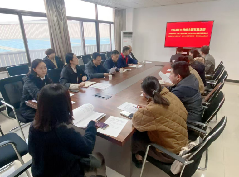 深入学习党的二十届三中全会精神，开展主题党日活动
